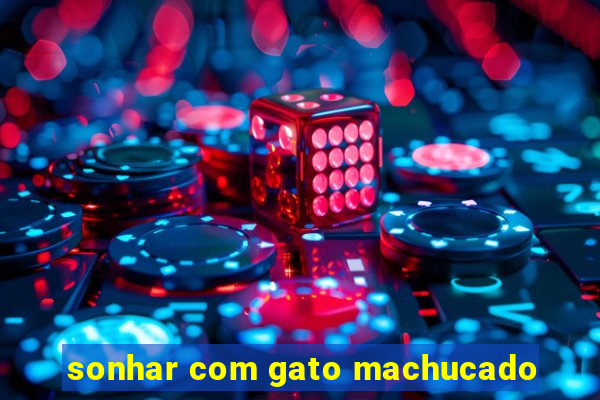 sonhar com gato machucado